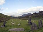 Shronebirrane Stone Circle