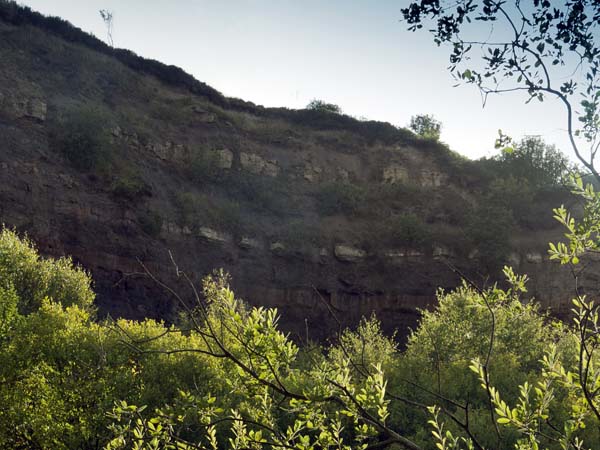 Quarry,Ravenscar