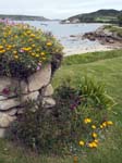 New Grimsby