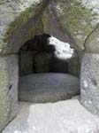 The Bread Oven