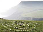 Land Art