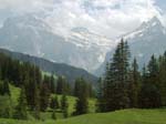The Wetterhorn and Schrekhorn