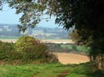 Badbury