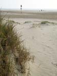 The Beach
