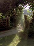 A Gate