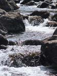 Stream Pasture Bottom