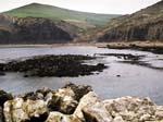 Chapman's Pool